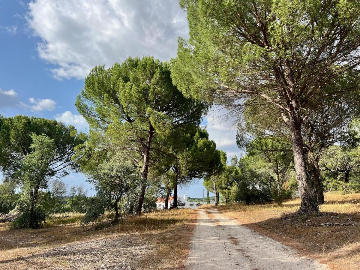 Вілла Fazenda Do Pomar By Trip2Portugal Монтемор-у-Нову Екстер'єр фото